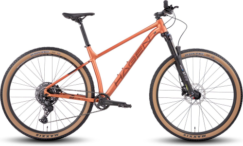 Велосипед Hagen 5.10 29 (2025)