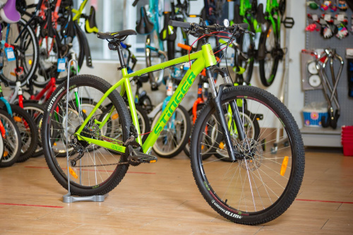 Горный велосипед Stinger Genesis Evo 29" (2018), рама 22" (185-195 см), зеленый